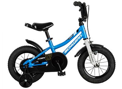 Превью  Велосипед SCHWINN Koen 12 (2021)